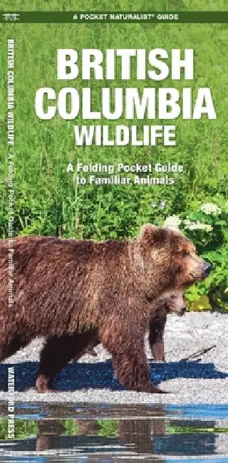 British Columbia Wildlife: A Folding Pocket Guide to Familiar Animals by James Kavanagh