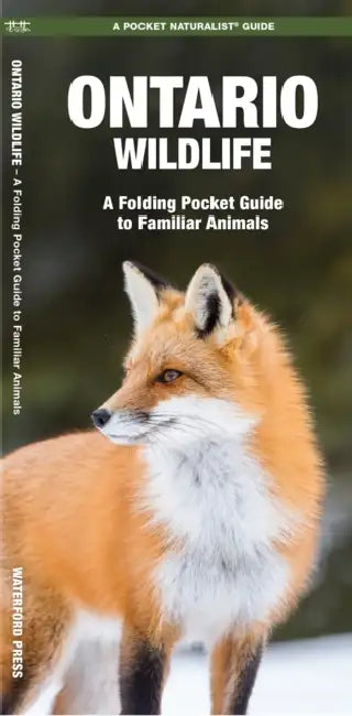 Ontario Wildlife, 2nd Ed: A Folding Pocket Guide to Familiar Animals by James Kavanagh, Raymond Leung, Waterford Press