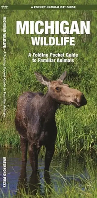 Michigan Wildlife: An Introduction to Familiar Species by James Kavanagh