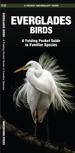 Everglades Birds: An Introduction to Familiar Species by James/ Leung, Raymond (ILT) Kavanagh