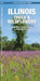 Illinois Trees & Wildflowers: A Folding Pocket Guide to Familiar Plants by James Kavanagh