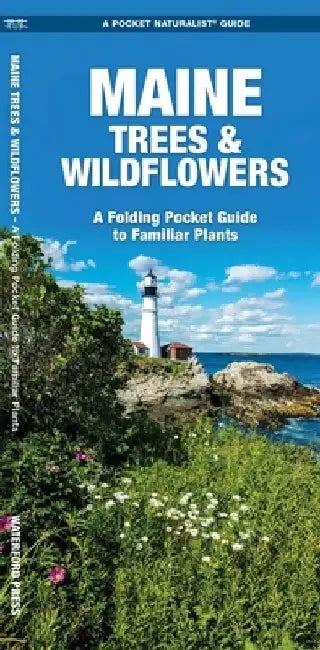 Maine Trees & Wildflowers: A Folding Pocket Guide to Familiar Plants by James Kavanagh