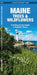 Maine Trees & Wildflowers: A Folding Pocket Guide to Familiar Plants by James Kavanagh