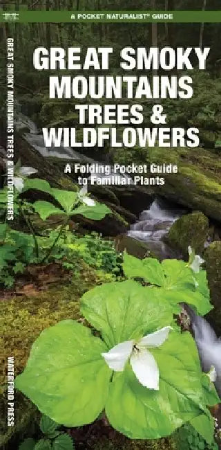 Great Smoky Mountains Trees & Wildflowers: A Folding Pocket Guide to Familiar Plants by James Kavanagh