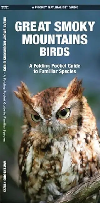 Great Smoky Mountains Birds: An Introduction to Familiar Species by James Kavanagh