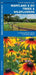 Maryland & DC Trees & Wildflowers: A Folding Pocket Guide to Familiar Plants by James Kavanagh
