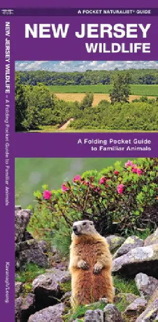 New Jersey Wildlife: A Folding Pocket Guide to Familiar Animals by James Kavanagh