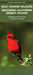 Golf Course Wildlife, Southern California Desert Region: A Folding Pocket Guide to Familiar Species by James Kavanagh, Waterford Press, Leung Raymond