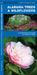Alabama Trees & Wildflowers by James Kavanagh