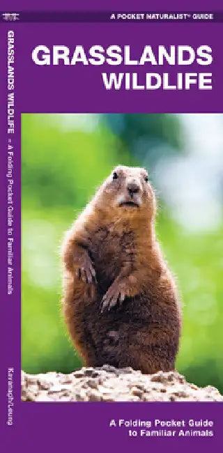 Grasslands Wildlife by Kavanagh, James