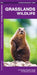 Grasslands Wildlife by Kavanagh, James