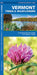 Vermont Trees & Wildflowers: An Introduction to Familiar Species by James Kavanagh