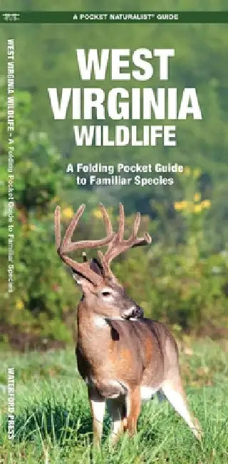 West Virginia Wildlife by Kavanagh, James