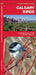 Calgary Birds: An Introduction to Familiar Species by James Kavanagh