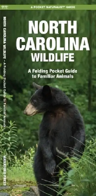 Maine Wildlife: A Folding Pocket Guide to Familiar Animals by James Kavanagh