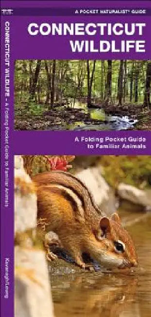 Connecticut Wildlife: A Folding Pocket Guide to Familiar Animals by James Kavanagh