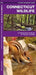 Connecticut Wildlife: A Folding Pocket Guide to Familiar Animals by James Kavanagh