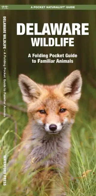 Delaware Wildlife: An Introduction to Familiar Species by James Kavanagh, Waterford Press, Raymond Leung