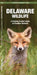 Delaware Wildlife: An Introduction to Familiar Species by James Kavanagh, Waterford Press, Raymond Leung