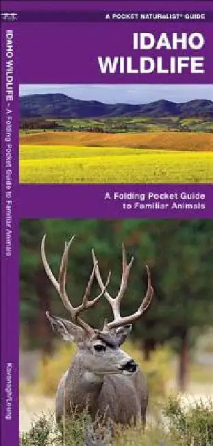 Idaho Wildlife: A Folding Pocket Guide to Familiar Animals by James Kavanagh