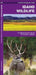 Idaho Wildlife: A Folding Pocket Guide to Familiar Animals by James Kavanagh