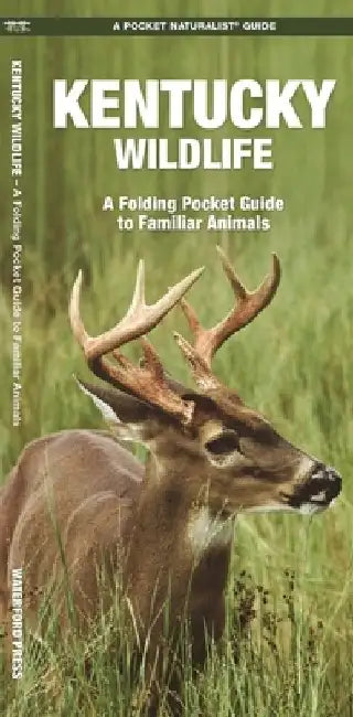 Kentucky Wildlife: A Folding Pocket Guide to Familiar Animals by James Kavanagh