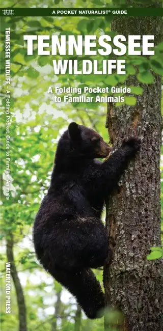 Tennessee Wildlife: An Introduction to Familiar Species by James Kavanagh, Waterford Press, Raymond Leung