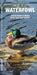 Waterfowl: A Field Guide to Native North American Species by James Kavanagh