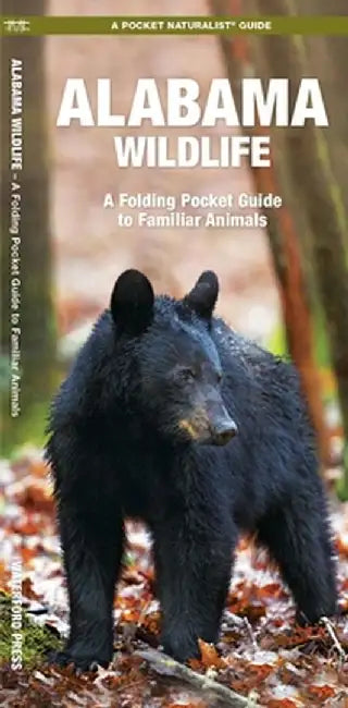Alabama Wildlife by James Kavanagh