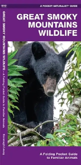 Great Smoky Mountains Wildlife: A Folding Pocket Guide to Familiar Animals by Waterford Press