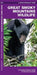 Great Smoky Mountains Wildlife: A Folding Pocket Guide to Familiar Animals by Waterford Press