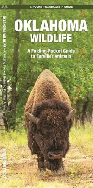 Oklahoma Wildlife: A Folding Pocket Guide to Familiar Animals by Waterford Press