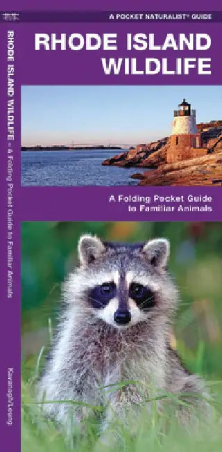 Rhode Island Wildlife: A Folding Pocket Guide to Familiar Animals by James Kavanagh