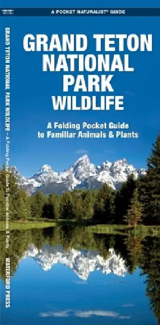 Grand Teton National Park Wildlife: A Folding Pocket Guide to Familiar Animals & Plants by James Kavanagh