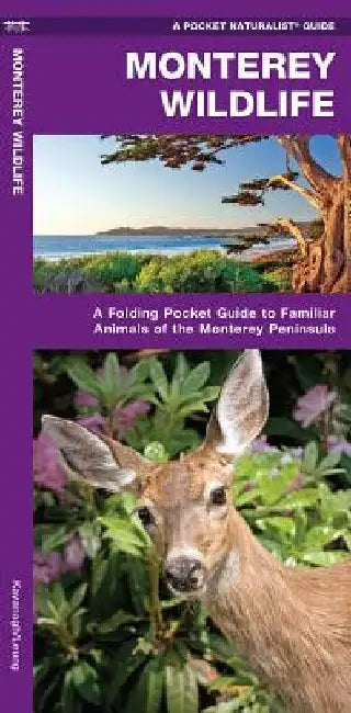 Monterey Wildlife: A Folding Pocket Guide to Familiar Animals of the Monterey Peninsula by James Kavanagh