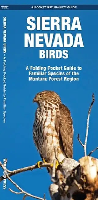 Sierra Nevada Birds: A Folding Pocket Guide to Familiar Species of the Montane Forest Region by James Kavanagh