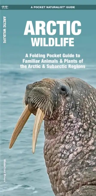 Arctic Wildlife: An Folding Pocket Guide to Familiar Animals & Plants of the Arctic & Subarctic Regions by James Kavanagh, Waterford Press, Raymond Leung