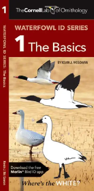 Waterfowl Id Series: The Basics by Kevin J. McGowan