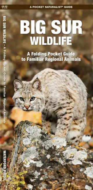 Big Sur Wildlife: A Folding Pocket Guide to Familiar Animals by James Kavanagh, Waterford Press, Raymond Leung