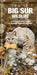 Big Sur Wildlife: A Folding Pocket Guide to Familiar Animals by James Kavanagh, Waterford Press, Raymond Leung