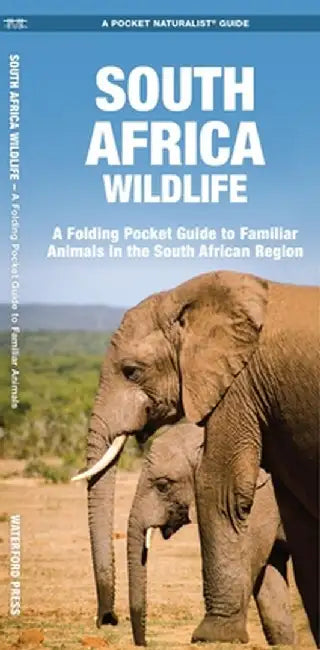 South Africa Wildlife: A Folding Pocket Guide to Familiar Animals by James Kavanagh