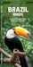 Brazil Birds: A Folding Pocket Guide to Familiar Species by James Kavanagh