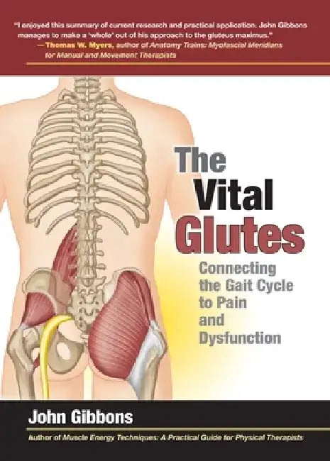 The Vital Glutes: Connecting the Gait Cycle to Pain and Dysfunction by John Gibbons