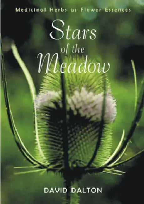 Stars of the Meadow: Medicinal Herbs as Flower Essences by David Dalton