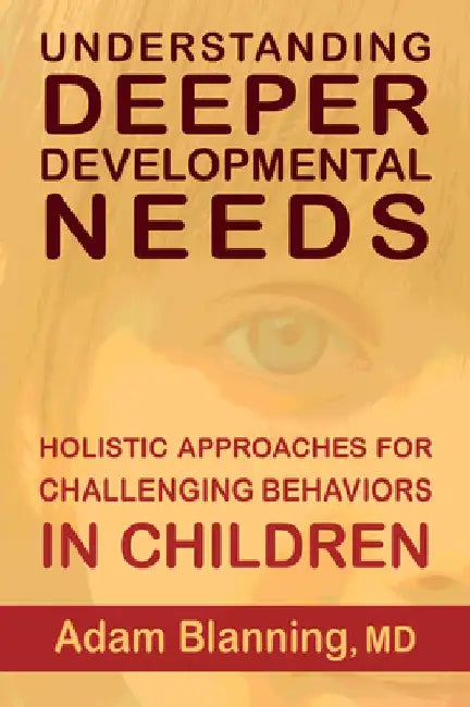 Understanding Deeper Developmental Needs: Holistic Approaches for Challenging Behaviors in Children by Adam Blanning