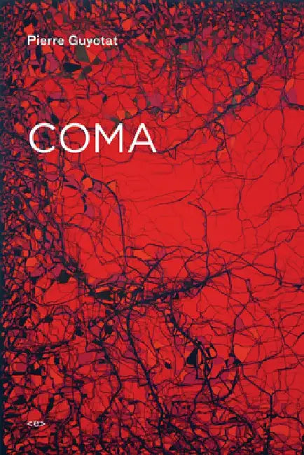 Coma by Pierre Guyotat