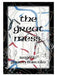 The Great Mess (Illegals, Drugs, Crime, No Government): And Letters to Clinton by Rogelio Garcia Barcala