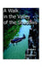 A Walk in the Valley of the Shadows by Richard J. Champox