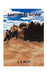 Learning to Survive by V. S. Brynn