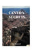 Canyon Secrets by Pat Seawell